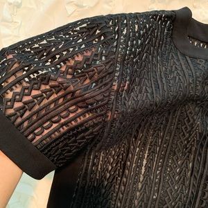 Sheer Alexander Wang Top